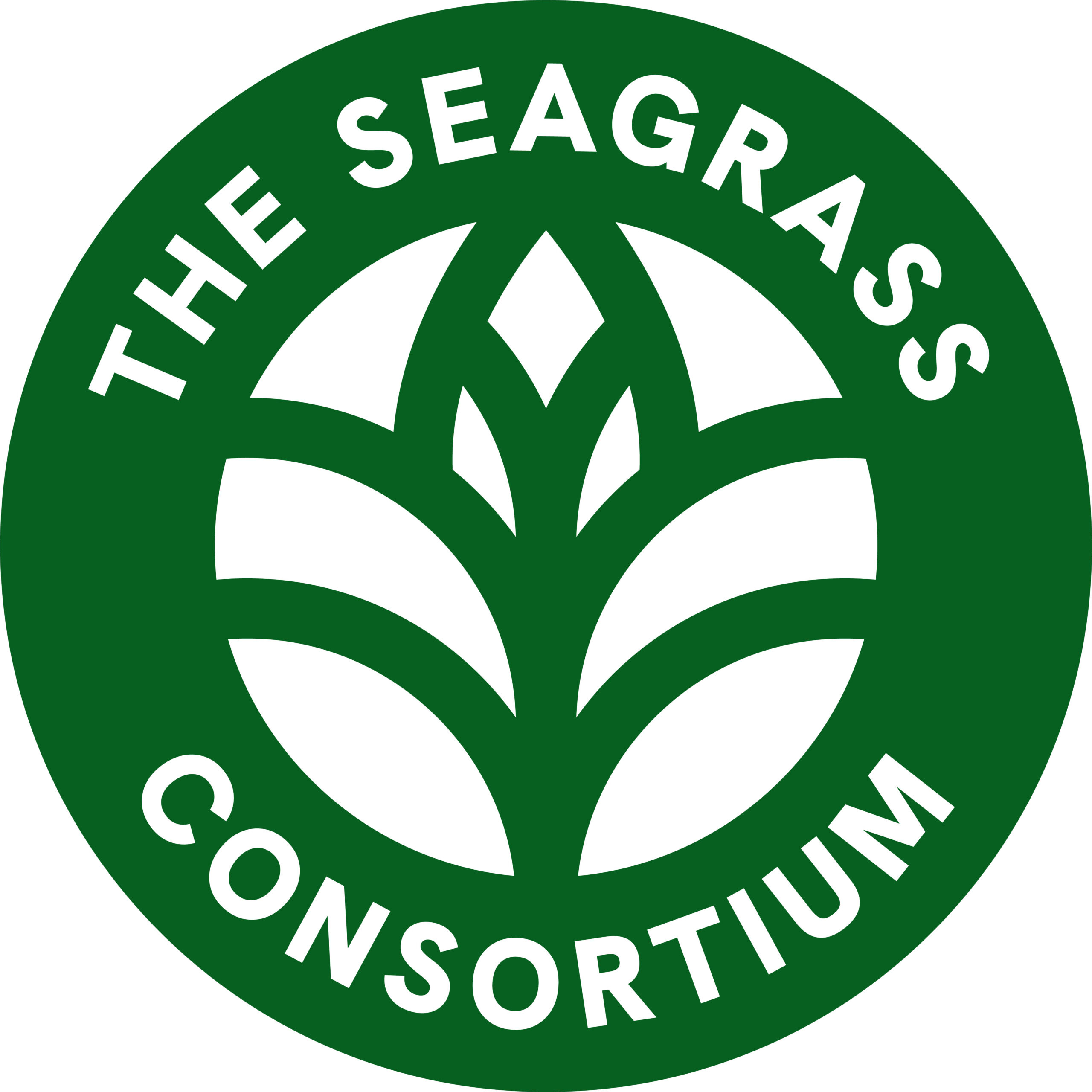 The Seagrass Consortium